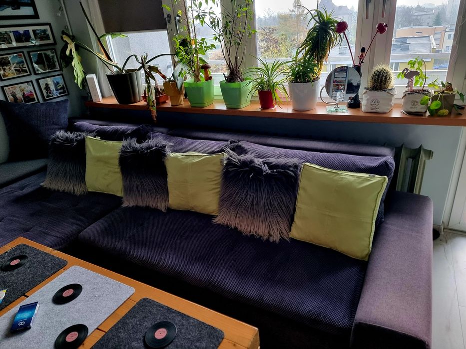 3 ozdobne poduszki na kanapę zielone ala welur 40x40cm boho wystrój