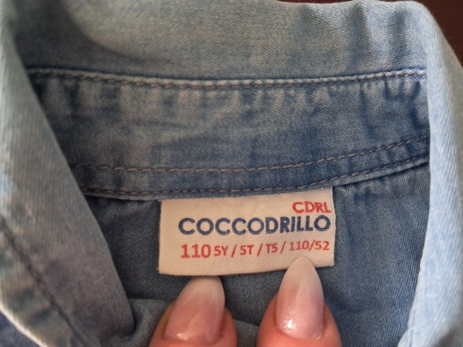 Koszula Coccodrilo rozm. 110