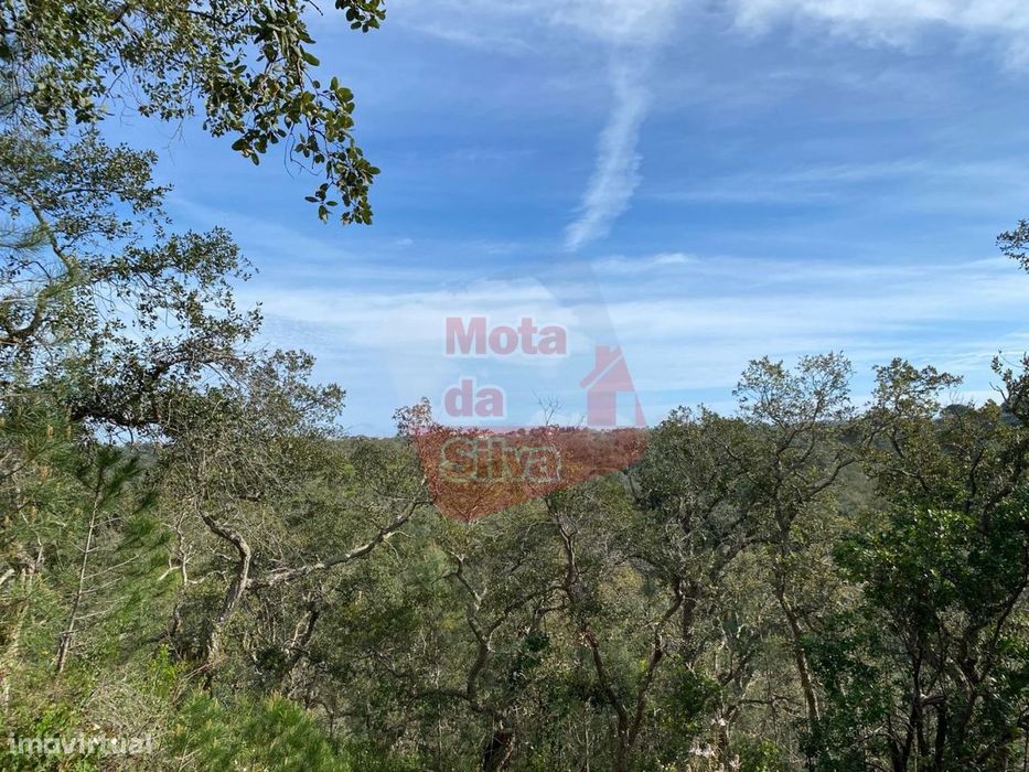 Terreno de 6ha com vista mar em São Francisco da Serra — São Francisco da Serra, Setúbal