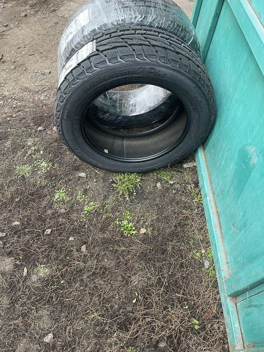 Продам гуму primiori