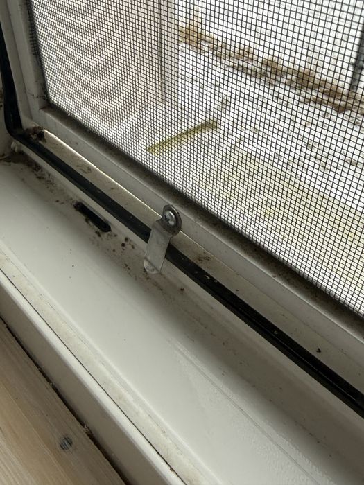Moskitiery na okna na wymiar solidne