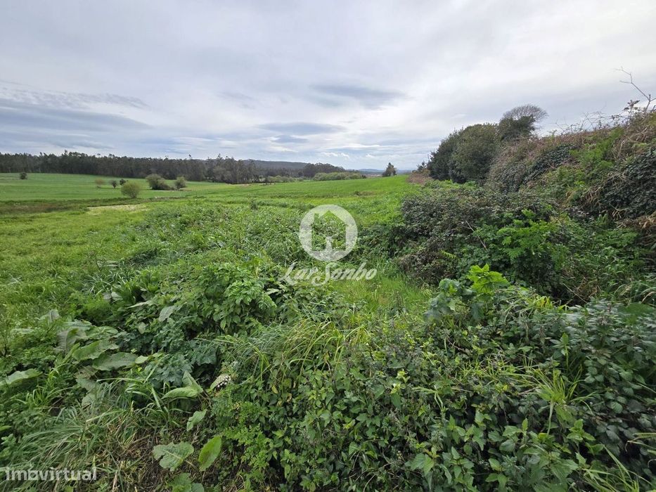 Terreno Agrícola  Terroso | 2.722m²