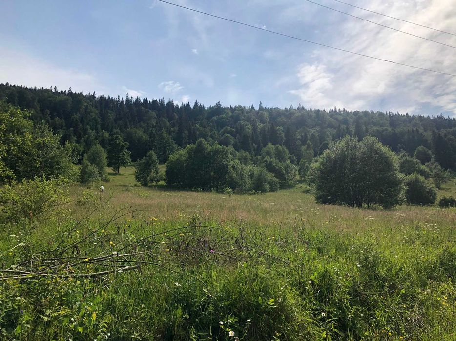 Ділянка, 60сот-5га, с.Буковець,Верховинського р-ну, Івано-Франк. обл.