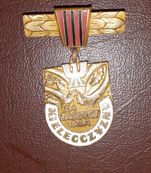 Нагрудный знак в коллекцию.