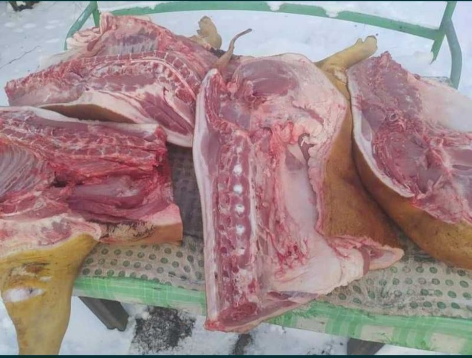 Домашня свинина тушка чи ціла