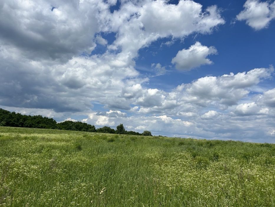 Продам земельну ділянку в Мироцькому