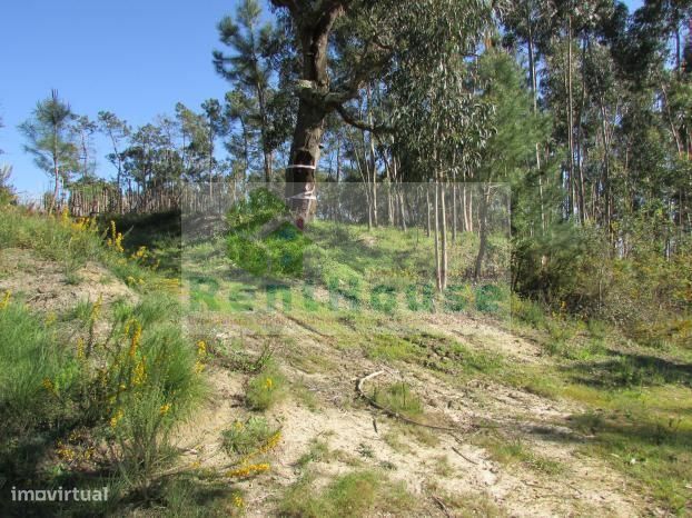 Terreno Para Construção Junto a Coimbra