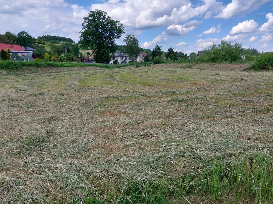 Działka inwestycyjna 49ar prY DW 977 w tym 17arow pod usługę - Więcej