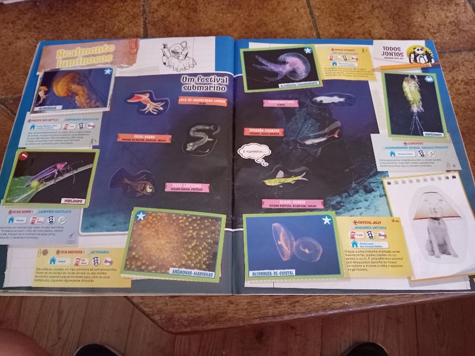 Animais 2013, caderneta cromos completa