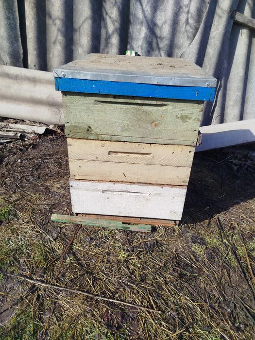 Продам многокорпусный ульи