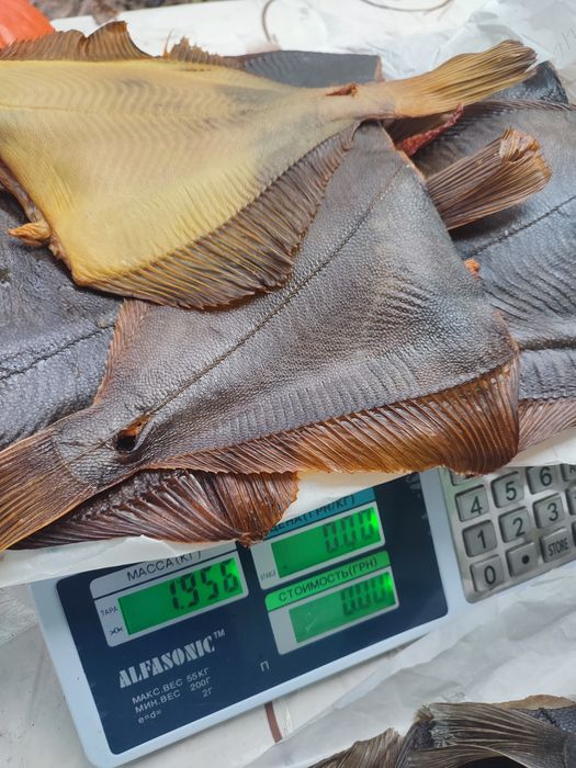 Камбала  ікряна різних видів