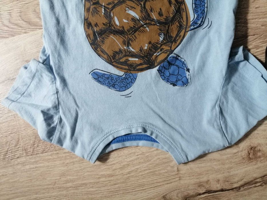 Littke Kids Zestaw T-Shirt dla chłopca 3szt 110 cm