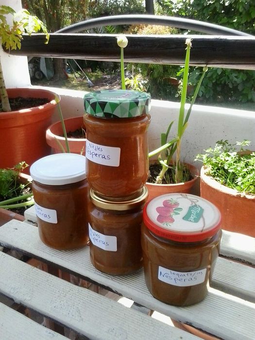 almofadão grelhador compotas nespereira