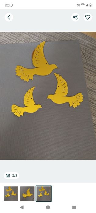 Złote gołębi sprzedam