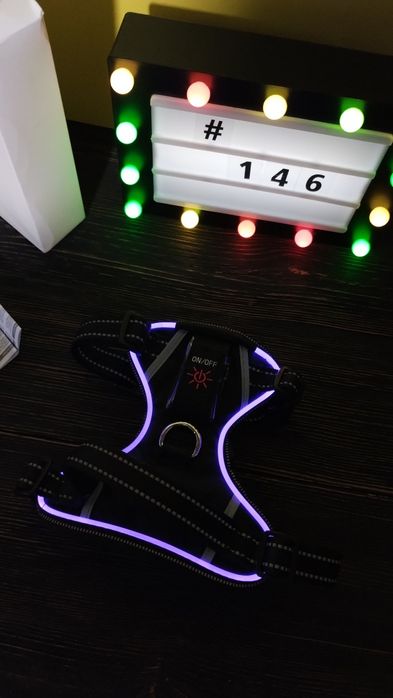 Шлея з підсвічуванням для собак