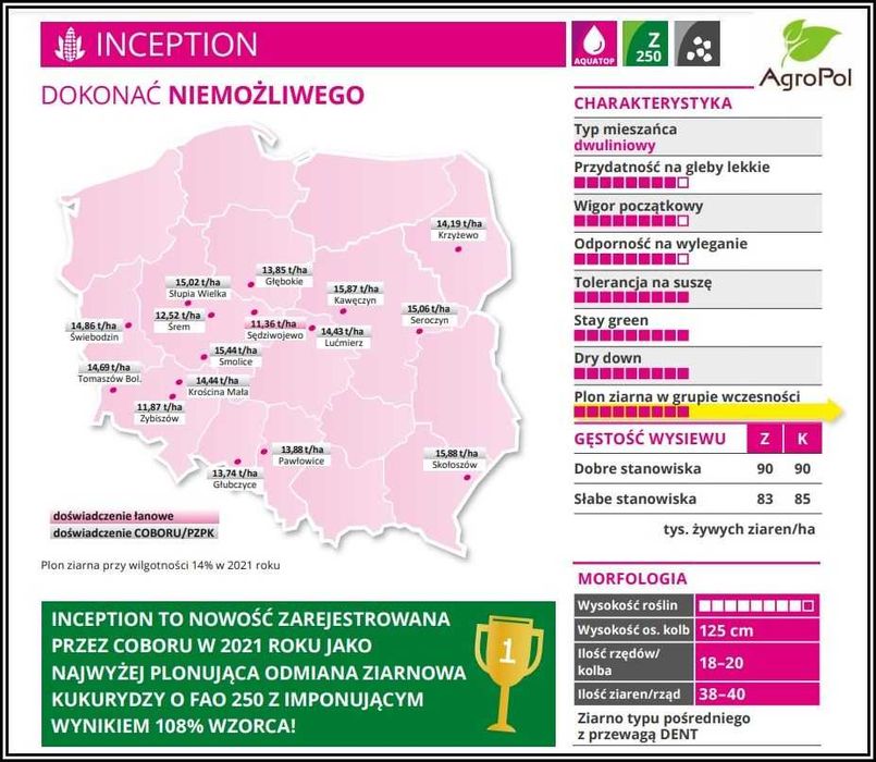 Kukurydza INCEPTION - Rekordowy Plon -Niskie Wymagania -Potężna Kolba