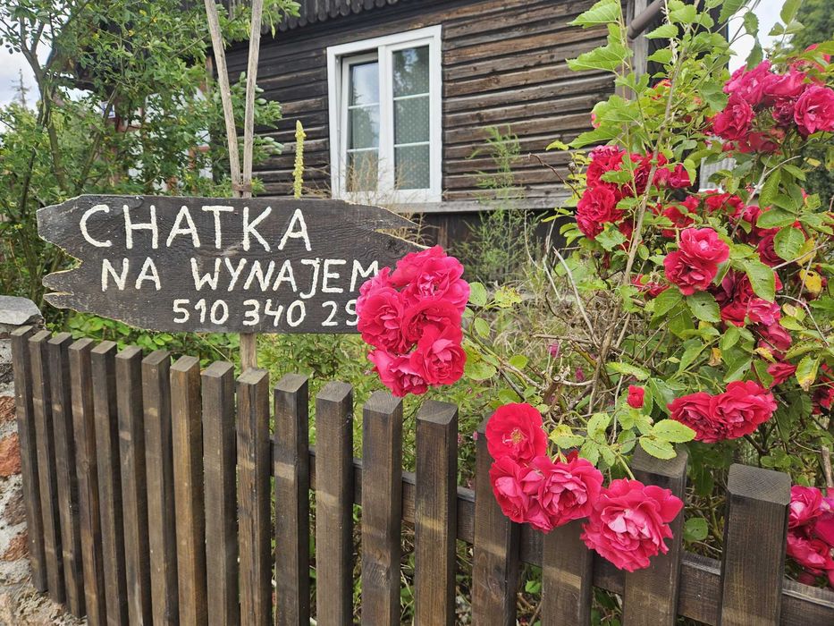 domek letniskowy nad jeziorem -  Kociewie- wynajem