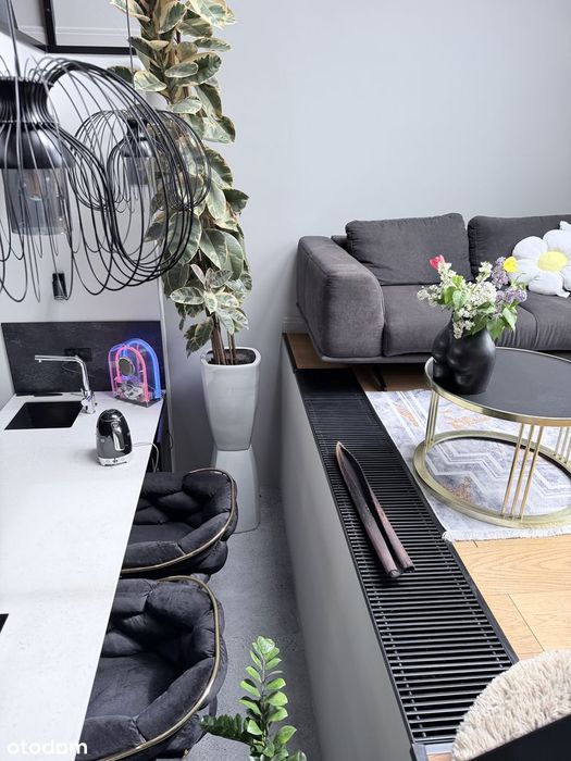 Loft u Scheiblera Tymienieckiego 25C