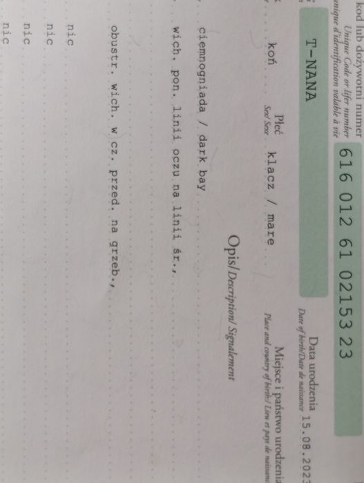 Sprzedam 2 klacze huculskie