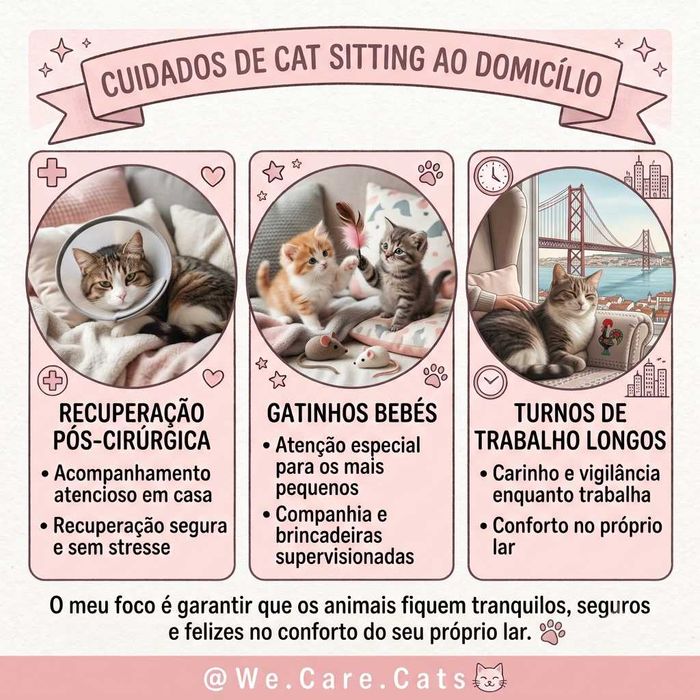 Gatil, Cat Sitter, ama de gatos, nanny of cats