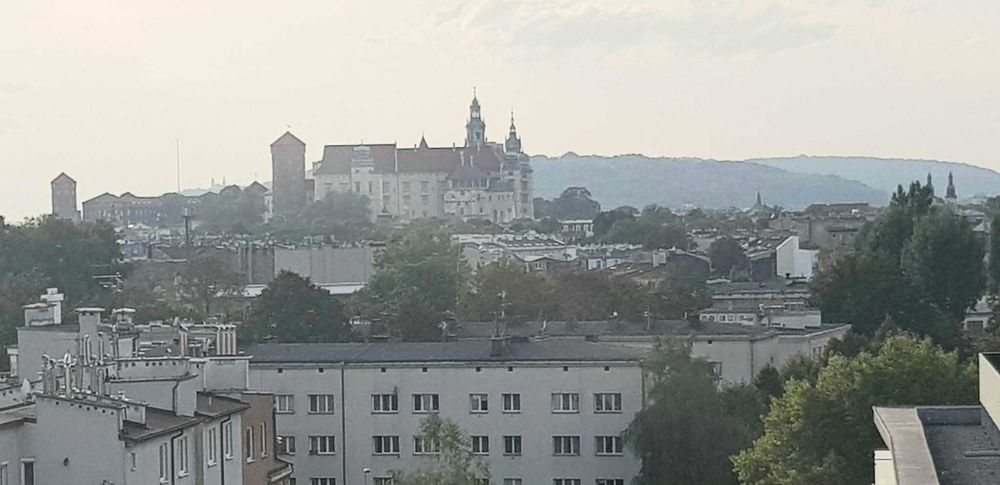 Zdjęcie 8
