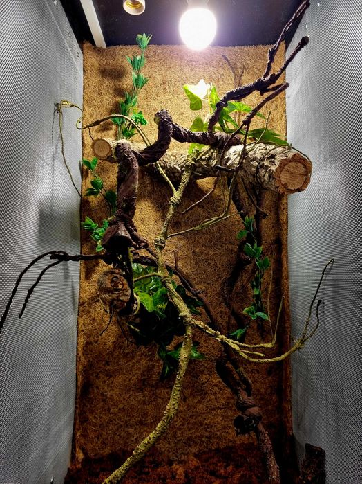 Terrarium 50x50x100 dla kameleona