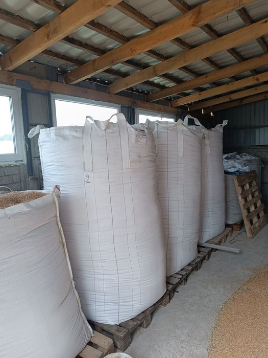 Продам пшеницю , ячмінь