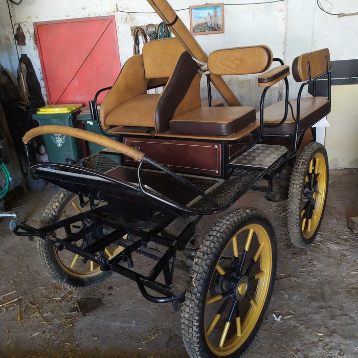 Charrete Maratona Cavalos