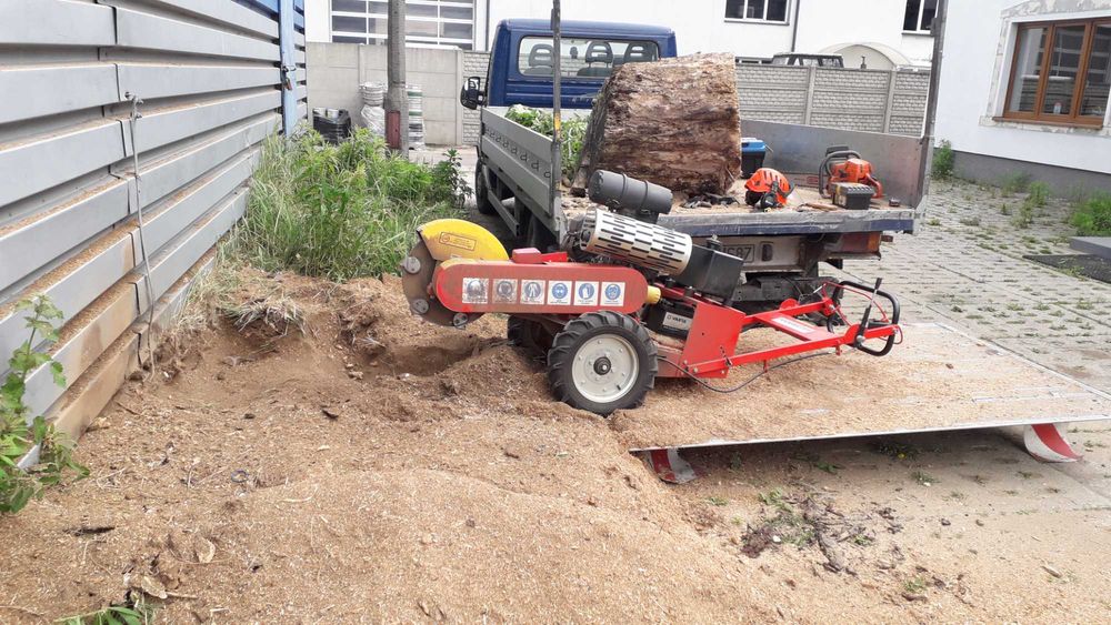 Cięcie przycinanie wycinka drzew Bełchatów Łódź Aleksandrów Pabianice