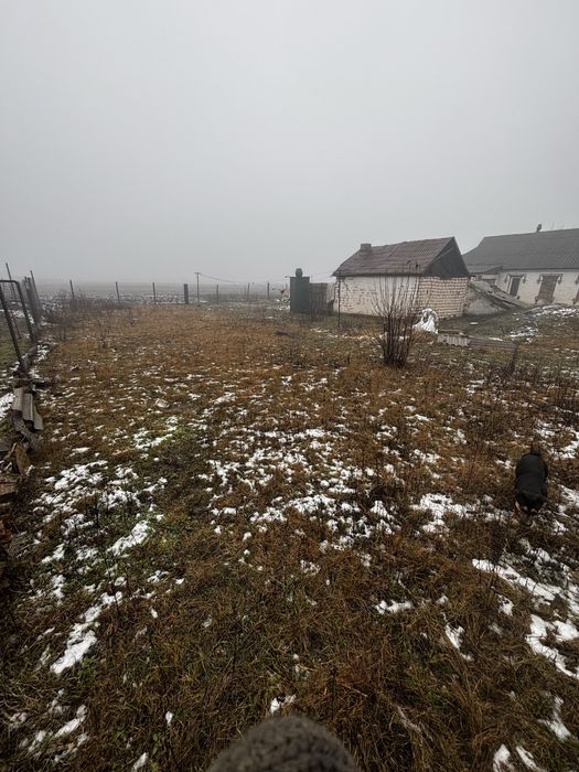 село Трепівка, вулиця Шкільна (торг реальному покупцю)