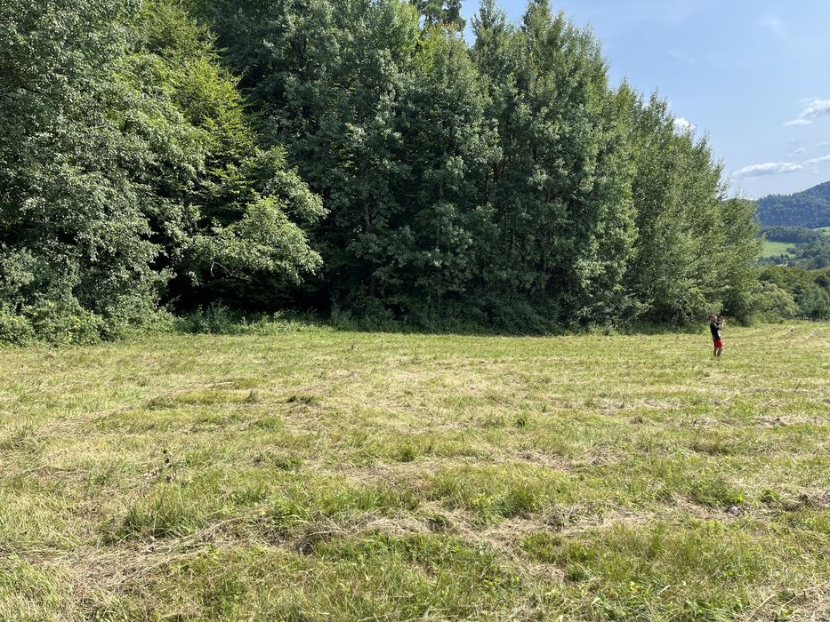 Działka w Bieszczadach.