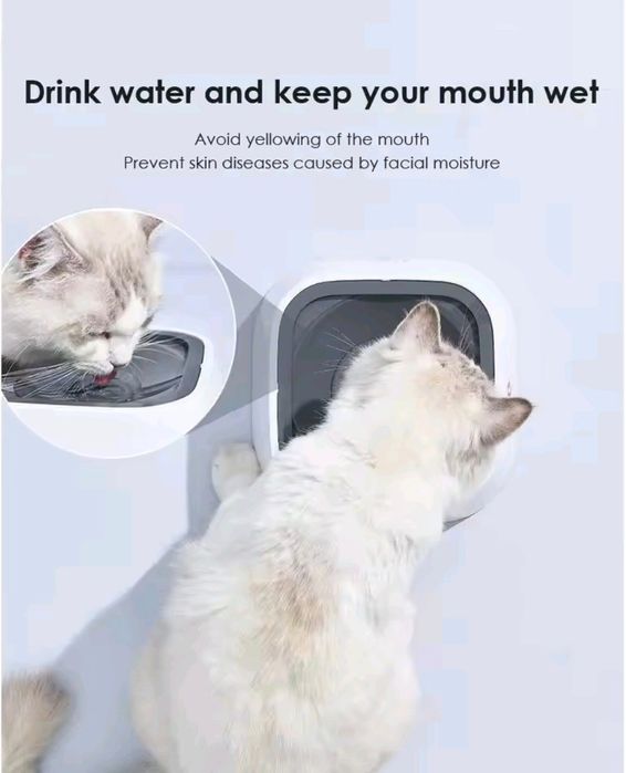 Tigela água 1L anti derrame para animais estimação