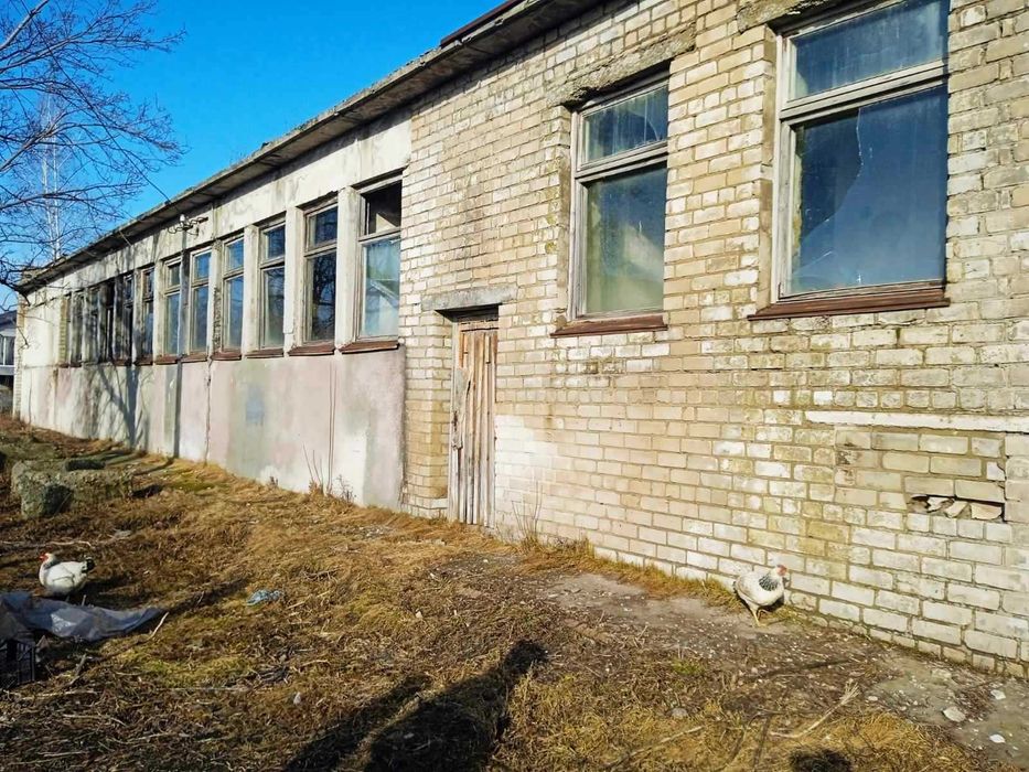 Частина комплексу будівель 1 228.2 м2, Царичанка. Першотравневий, 11