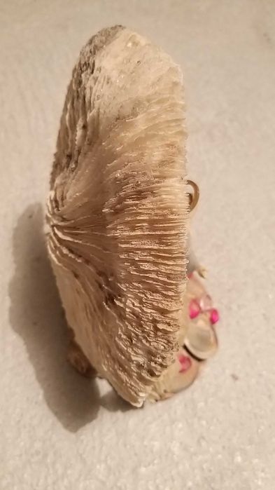 concha com nossa senhora