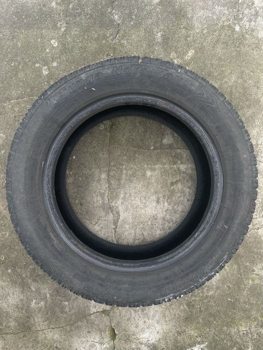 Зимова шина Tunga Nordway 185/55/15