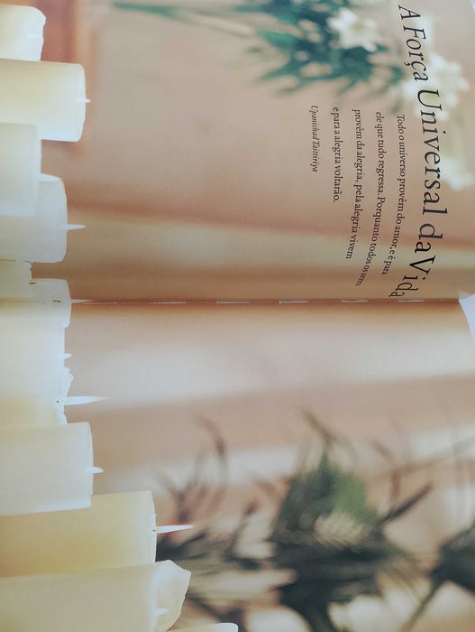 Livro "A cura pelo Reiki"