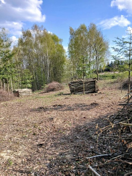 Działka 46 arów Gębiczyna województwo Podkarpackie