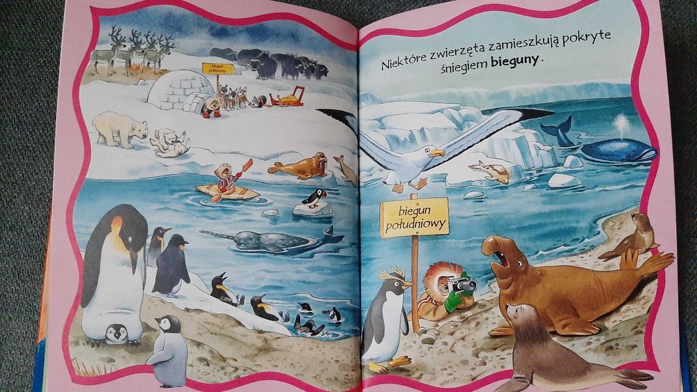 Tony Wolf seria Pierwsze książeczki 3 szt Mały atlas zwierząt las wieś