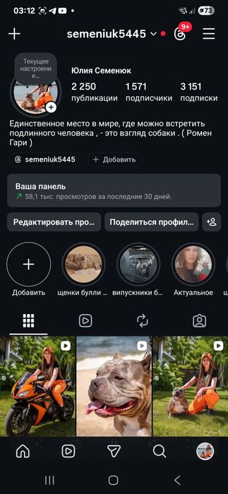 Девочка и мальчик булли 3.5 месяца .