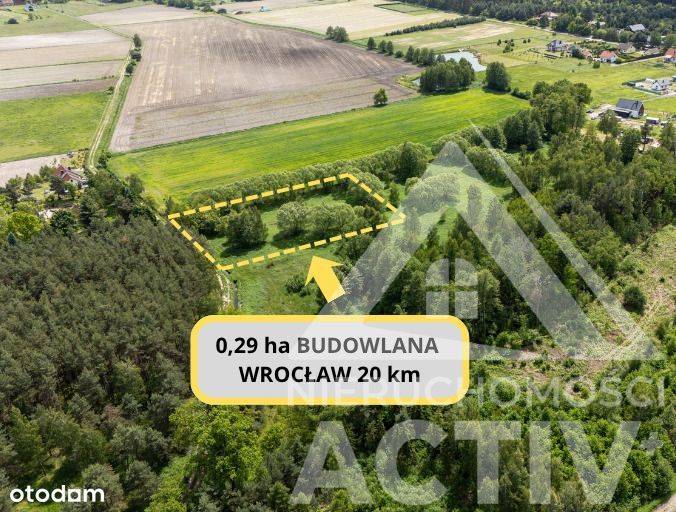 2988 m² z zadrzewieniem, blisko Jelcz i Oława
