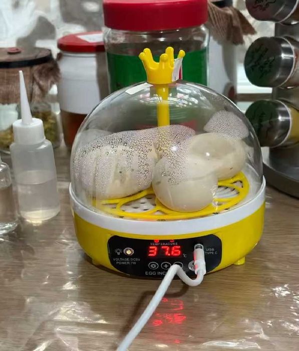 Chocadeira / Incubadora de Ovos (NOVAS EMBALADAS)