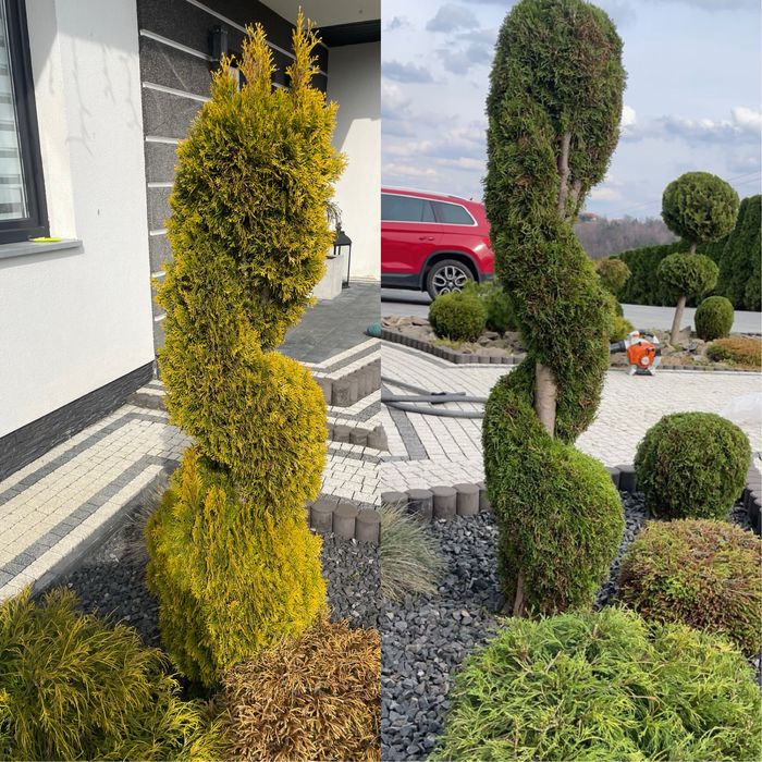 Wycinka i sprzątanie działek, usługi ogrodnicze,koszenie trawy