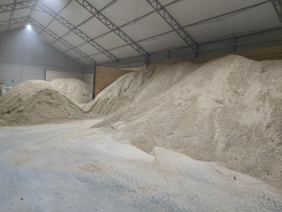 Skup trocin czystych,klocków zrzyn suchych