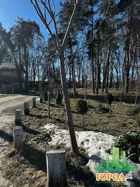 Продаж літнього будинку, дачі на причалі №3