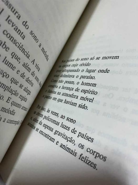 Livro - Fenomenologia