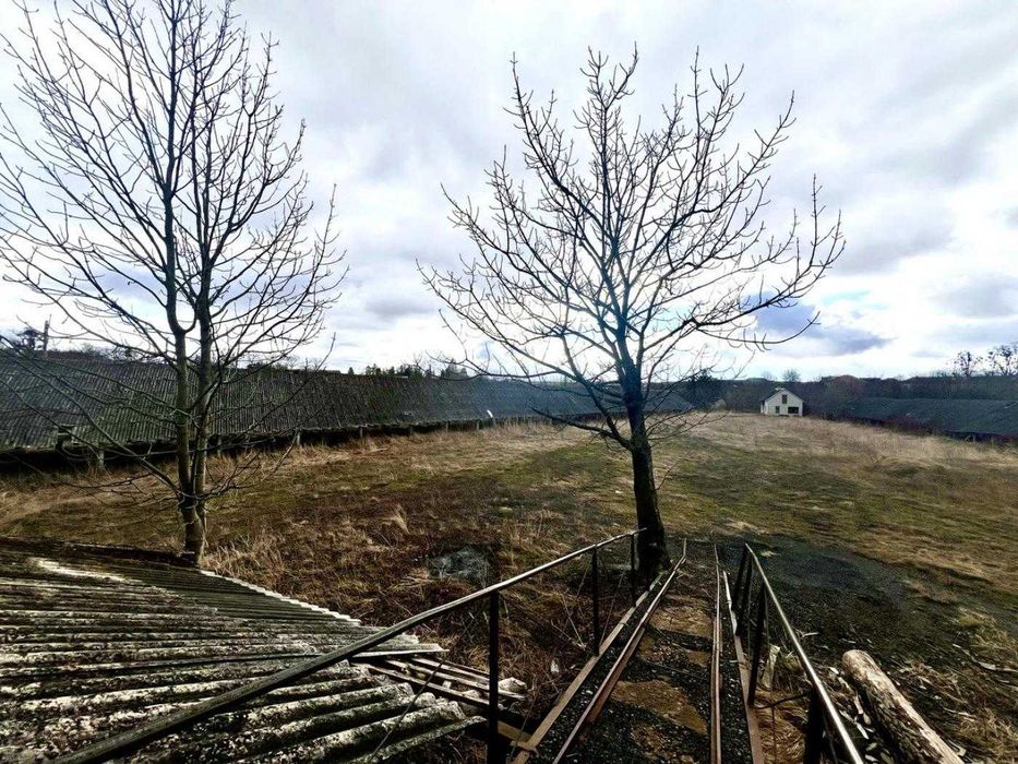 Продаж цегельного заводу, с. Новий Милятин, Золочівський район