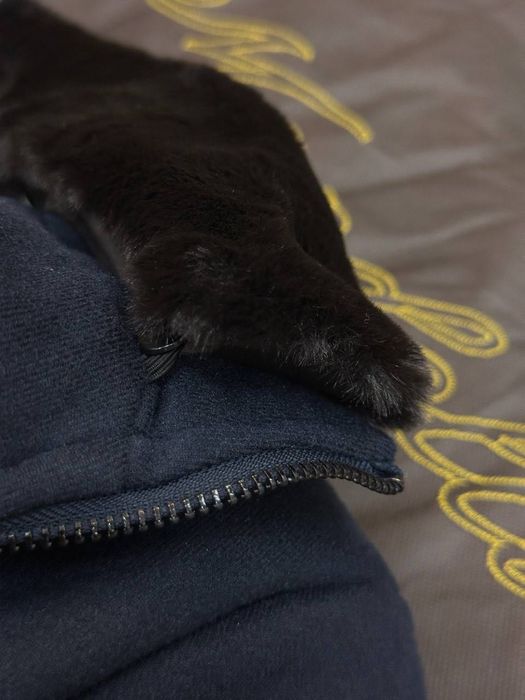 Куртка Martelli Originale мужская кашемир