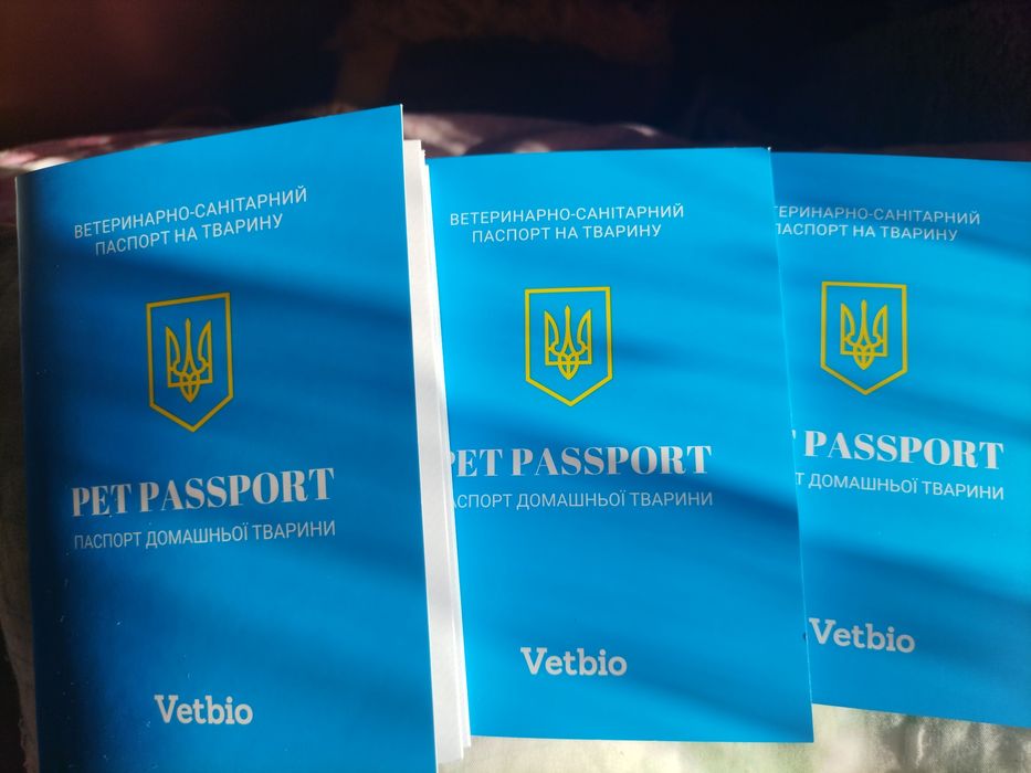 Цуценята німецької вівчарки