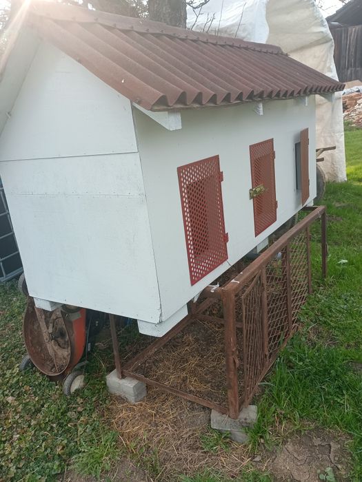 Klatka dla królików