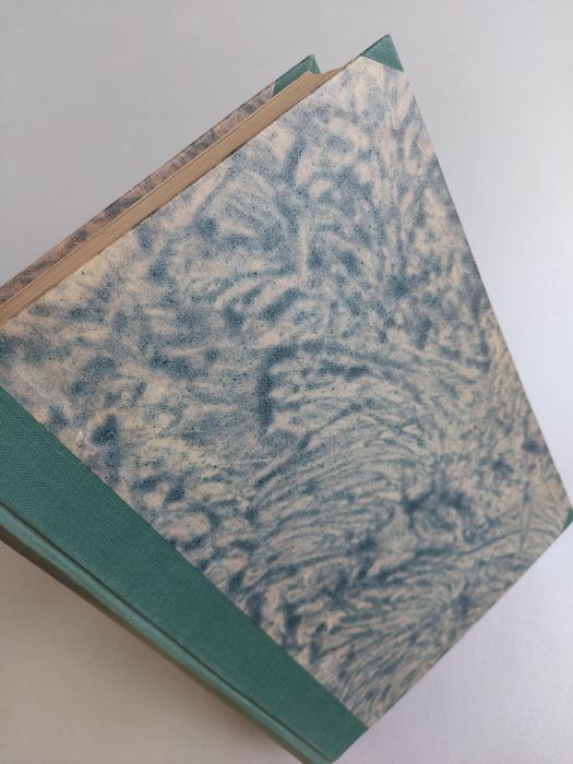 Wychowanie w przedszkolu - Książka